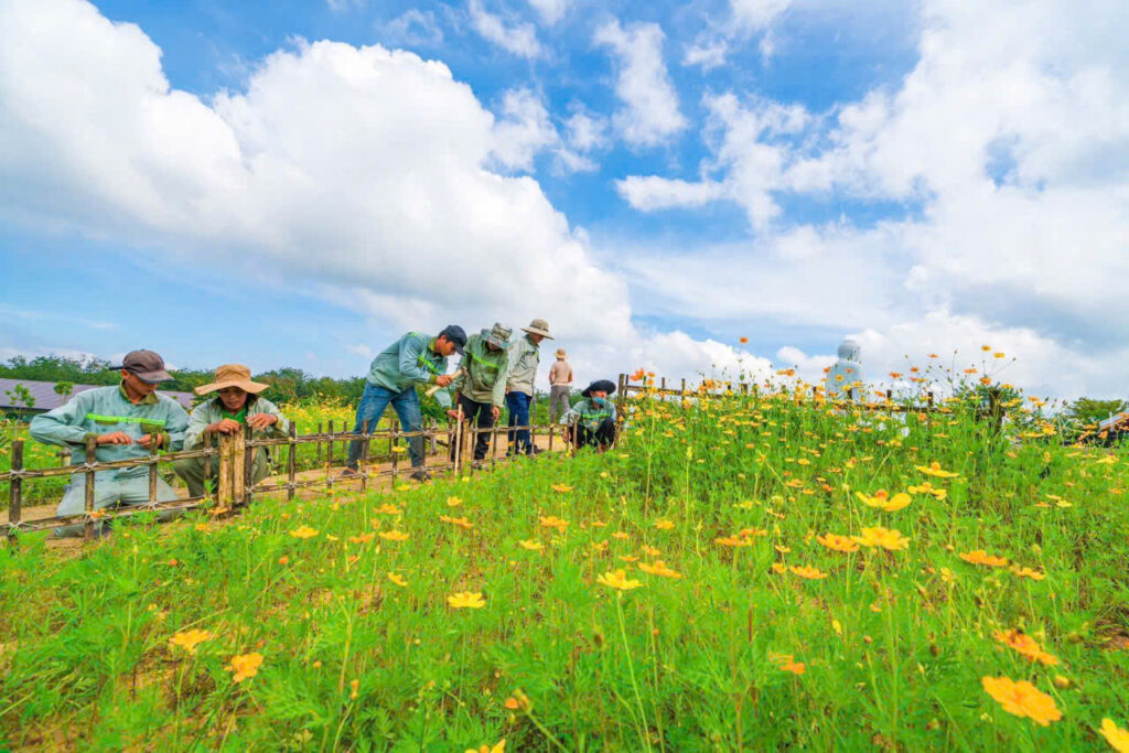 CHĂM SÓC CẢNH QUAN TẠI SALA GARDEN – GIỮ GÌN MẢNG XANH AN LÀNH, LAN TỎA SỰ BÌNH YÊN